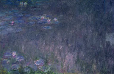 Nénuphars : Réflexions des arbres (détail)
